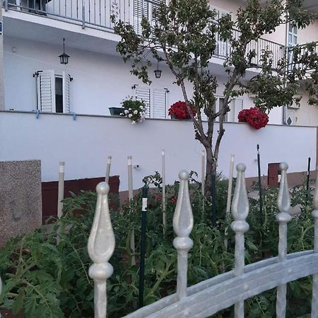 Apartment Bracic โวดีเซ ภายนอก รูปภาพ